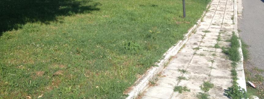 παιδικής