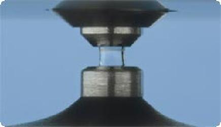 Ένα ακέραιο RNA θα πρέπει να έχει δύο ξεκάθαρες ζώνες που θα αντιπροσωπεύουν το 28S rrna και το 18S rrna, με αναλογία της έντασης των δύο ζωνών 2:1.