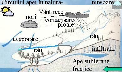 a. Titlul Situația comparativă a vânzărilor, formatat cu stilul Umplere colorată Verde, 6 accentuat b.