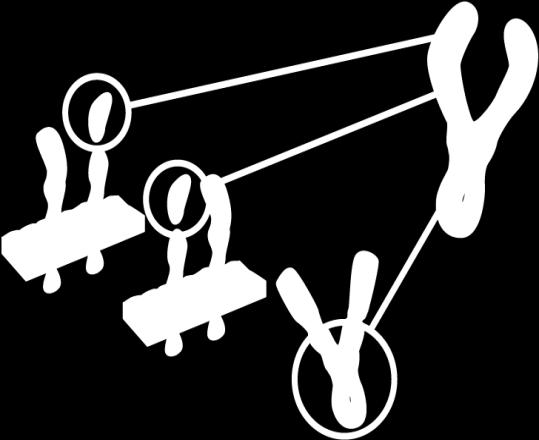 PlGF more tightly than native receptors Half-life in humans ~17