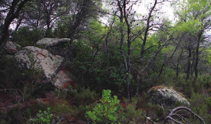 Η προστασία των παιδιών και του περιβάλλοντος στις άμεσες προτεραιότητες και υποχρεώσεις μας.