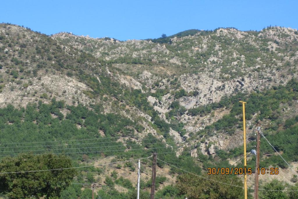 Εικόνα 1: Λιβαδικός τύπος θαμνολίβαδων στην
