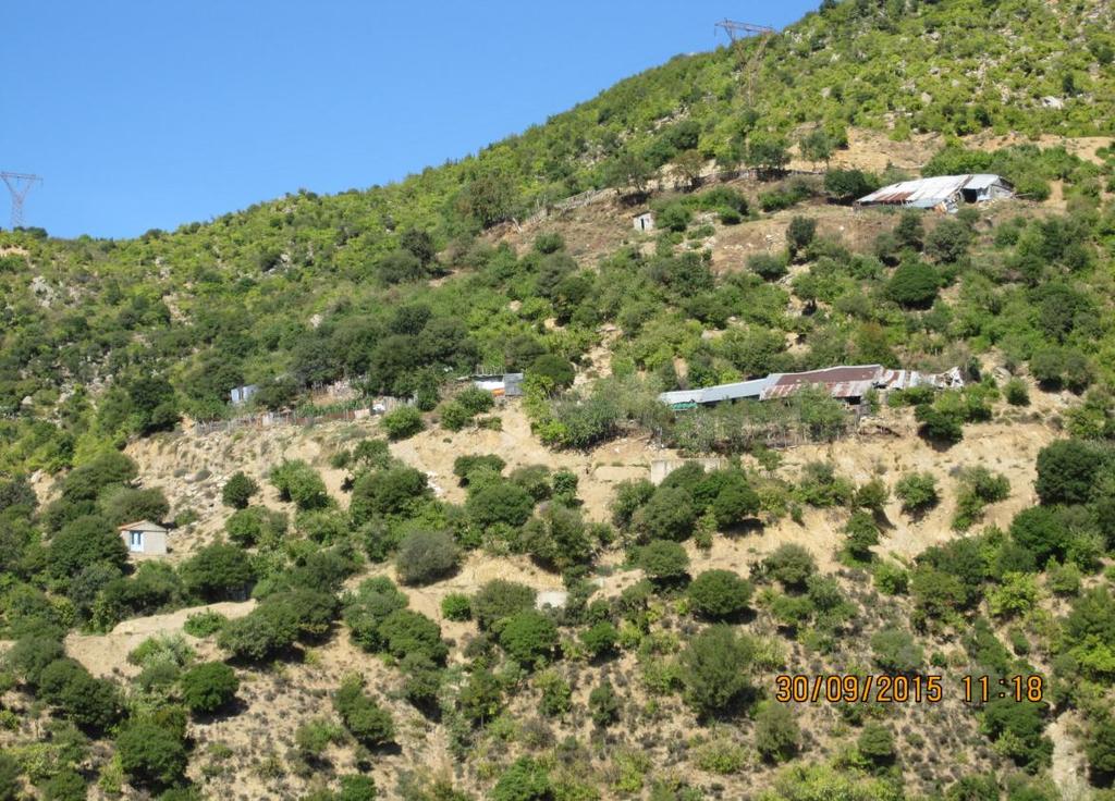 Εικόνα 2: Θαμνολίβαδα και πρόχειρες