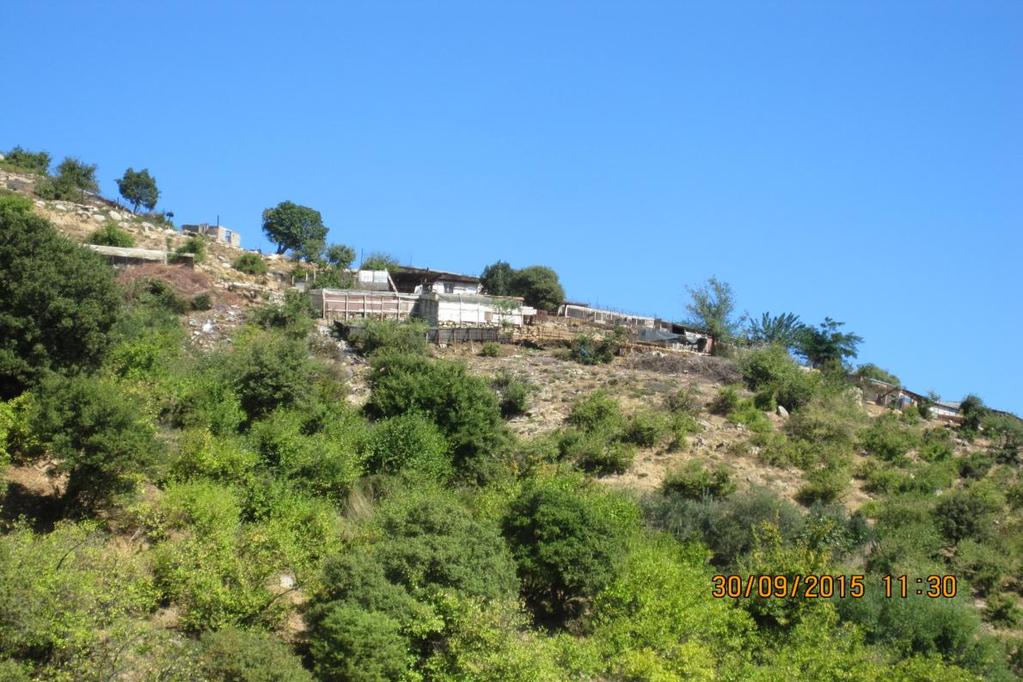 Εικόνα 3: Θαμνολίβαδα και κτηνοτροφικές