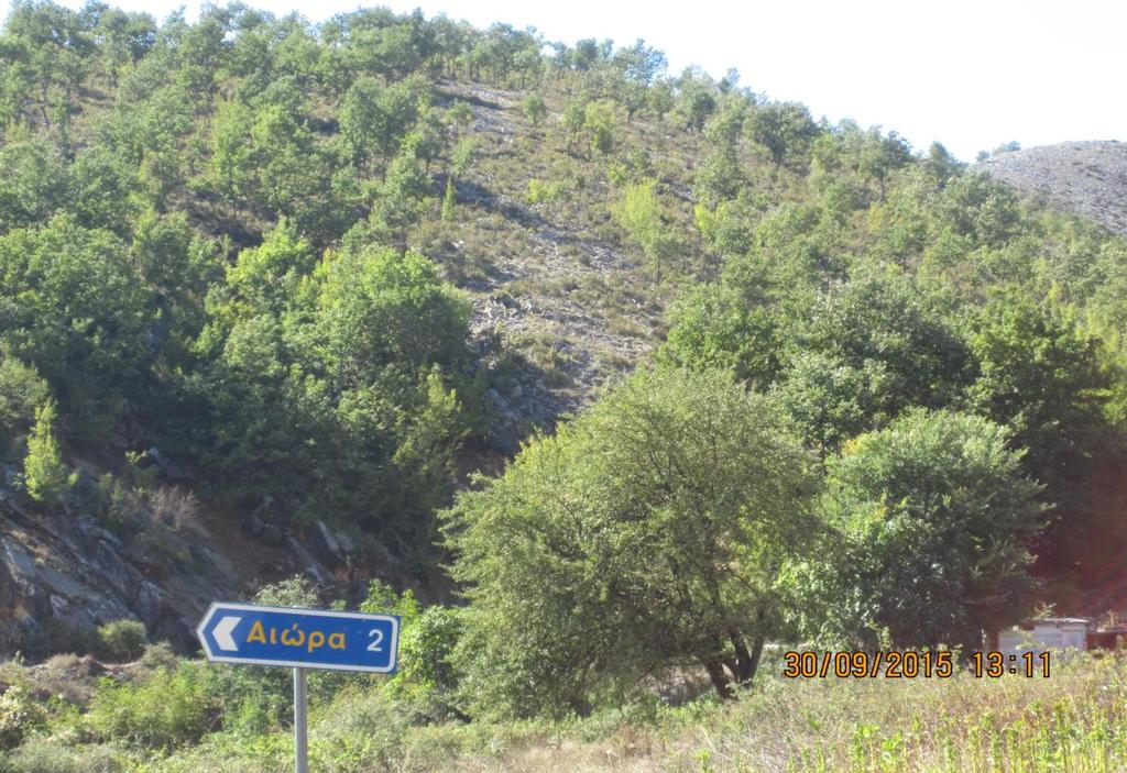 Εικόνα 7: Αραιό θαμνολίβαδο.