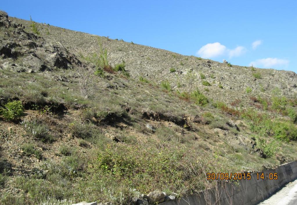 Εικόνα 9: Βοσκότοπος στην ημιορεινή ζώνη της