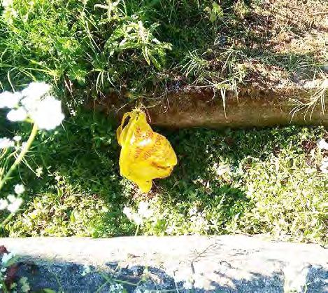 Και όλες σχεδόν τις πόλεις ανά την Ελλάδα να βράζουν στο ίδιο καζάνι (π.χ. Βέροια, Αλεξάνδρεια). Το έχουμε ξαναγράψει στη στήλη.