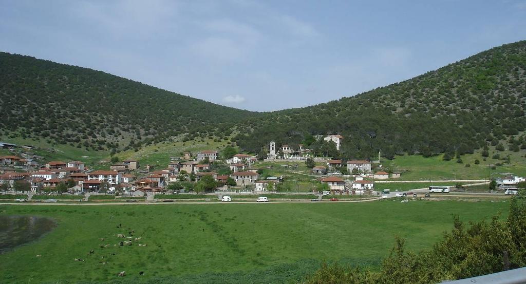 Εικόνα 1.2. Αμιγές δάσος αρκεύθου στη Κοίμηση της Θεοτόκου στους Ψαράδες. Εικόνα 1.3.