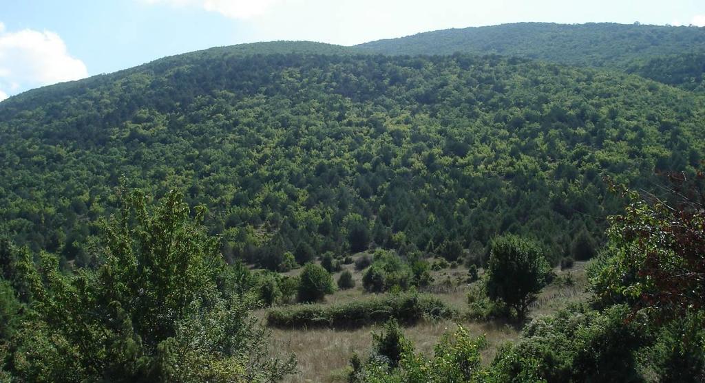 4) με αρκεύθους και ξυλώδη πλατύφυλλα, όπως τα Quercus spp., Ostrya carpinifolia, Acer campestre κ.ά. Αυτός ο τύπος βλάστησης απαντάται στις πιο υγρές θέσεις, κυρίως σε μισγάγγειες.