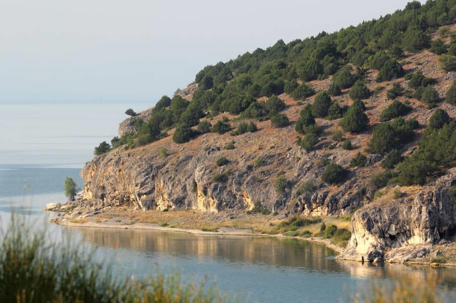 Φαίνεται ότι πιθανότατα η εξέλιξη σε αυτά τα λιβάδια, απουσία διαχείρισης, θα είναι όπως και άλλων λιβαδιών της περιοχής (π.χ. πάνω από τον οικισμό των Ψαράδων), με εξέλιξη προς θαμνώνες αρκεύθου.