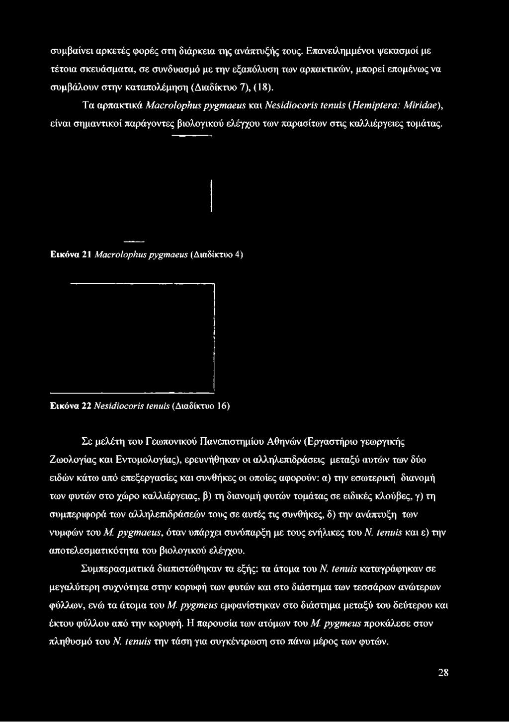 Τα αρπακτικά Macrolophus pygmaeus και Nesidiocoris tenuis (Hemiptera: Miridae), είναι σημαντικοί παράγοντες βιολογικού ελέγχου των παρασίτων στις καλλιέργειες τομάτας.