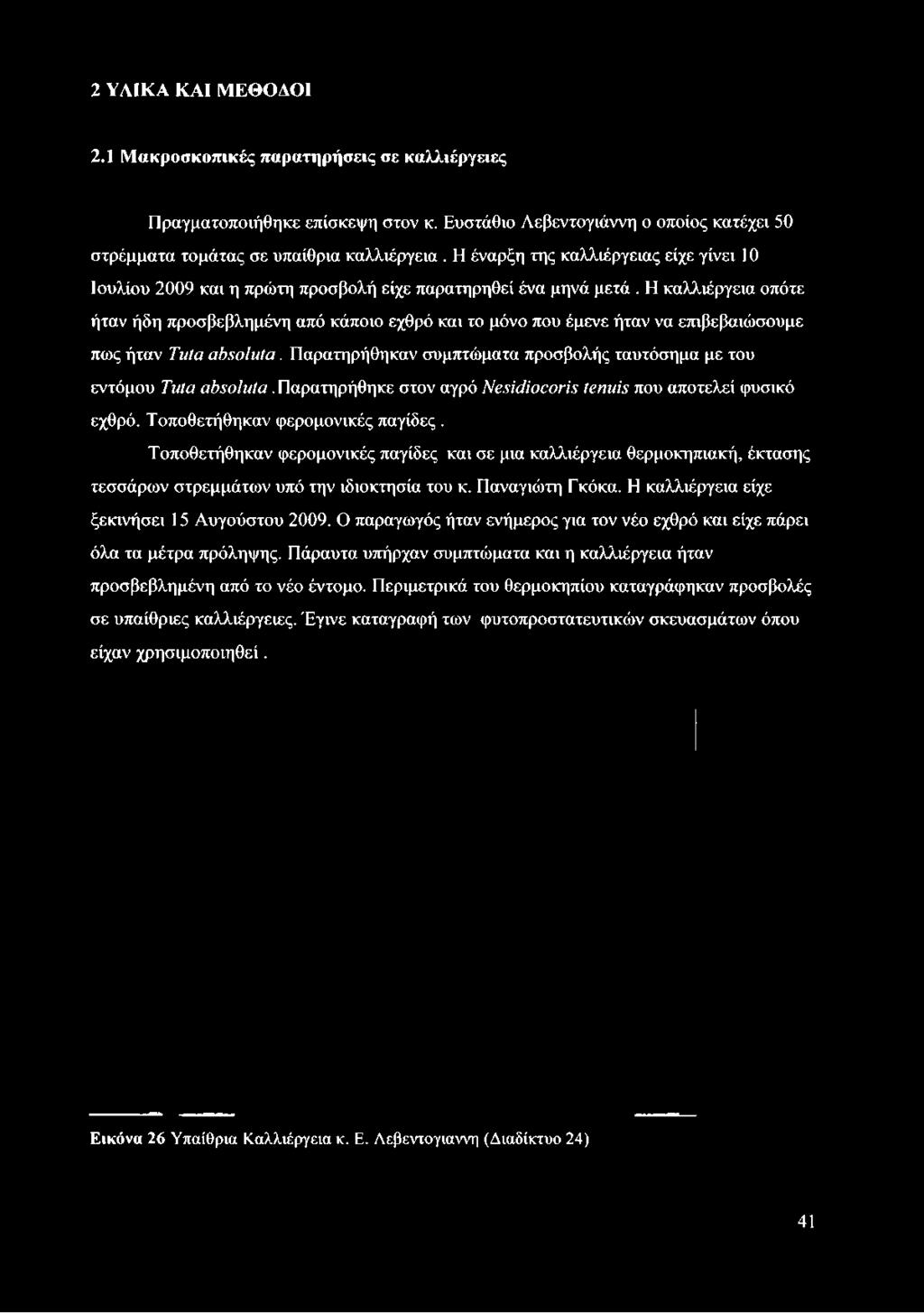 Η καλλιέργεια οπότε ήταν ήδη προσβεβλημένη από κάποιο εχθρό και το μόνο που έμενε ήταν να επιβεβαιώσουμε πως ήταν Tuta absoluta.