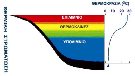 Υδροληψίες από λίμνες Η ακινησία των νερών δημιουργεί ανομοιόμορφη κατανομή της θερμοκρασίας και της ποιότητας του νερού με το βάθος Μείωση της