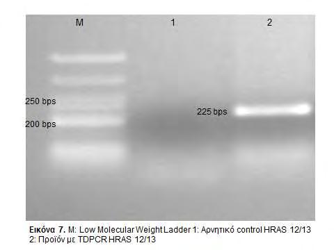3. Καθαρισμός των προϊόντων PCR Ο καθαρισμός των προϊόντων