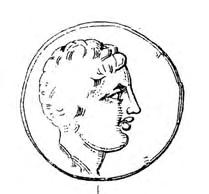 των Πρόννων (Εικ. 82 β, γ, θ).