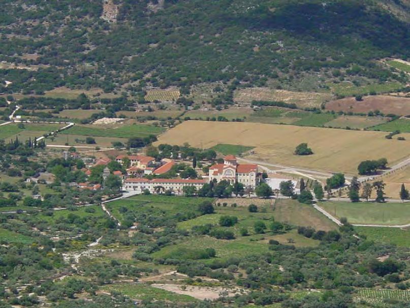 Περιβάλλον και οικονομία Κεφαλονιάς από τον 19 ο αι. έως σήμερα 175 Η καλλιέργεια της αμπέλου το 1961 κάλυπτε 24.555 στρέμματα. μόνο στην Κεφαλονιά (Εικ. 88, 89). Το 1971 μαζί με την Ιθάκη 17.880 στρ.