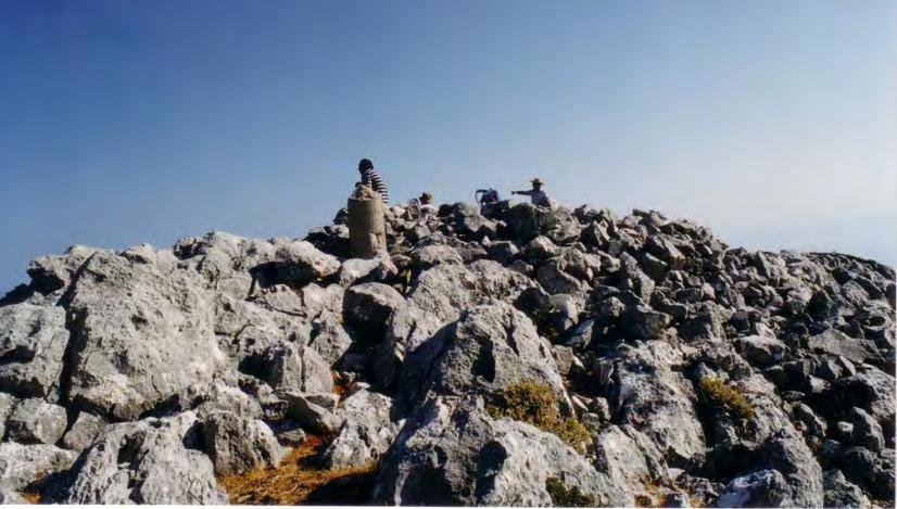 124, 125) αμφιβάλλουμε ότι σηματοδοτούσε την κορυφή του όρους προ της κατασκευής του τριγωνομετρικού σημείου (κολώνας) της Γεωγραφικής Υπηρεσίας Στρατού. Εικ. 124.