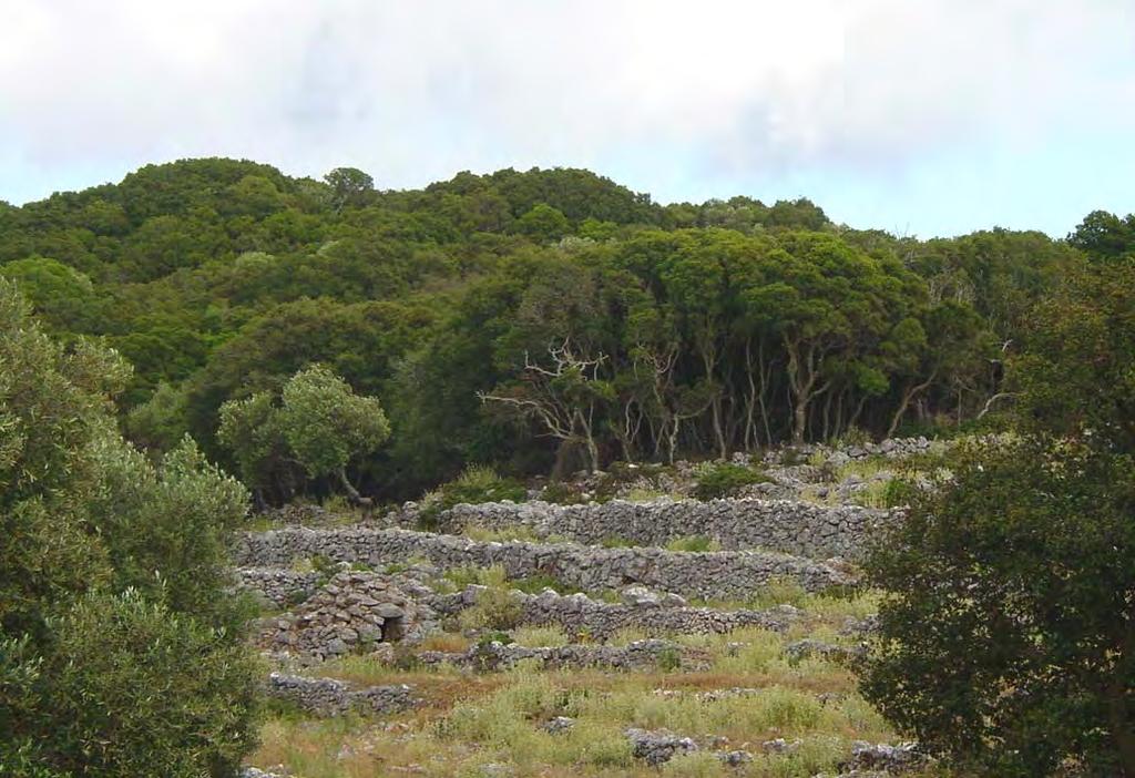276 ΧΛΩΡΙΔΑ ΚΑΙ ΒΛΑΣΤΗΣΗ αραιοκατοικημένες περιοχές της Κεφαλονιάς λόγω της φύσης του εδάφους. Λιγοστές καλλιέργειες σε περιορισμένες πεδινές εκτάσεις. Οι οικισμοί μικροί και ολιγάνθρωποι.