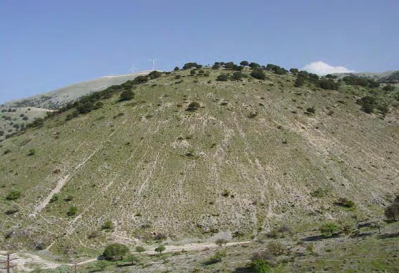 292 ΧΛΩΡΙΔΑ ΚΑΙ ΒΛΑΣΤΗΣΗ 12α. Τα αίτια των πυρκαγιών Οι πυρκαγιές οφείλονται κυρίως σε εμπρηστικούς, εκρηκτικούς μηχανισμούς, γεγονός που καθιστά ασύλληπτους τους δράστες, πλην ελάχιστων εξαιρέσεων.