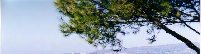 302 ΧΛΩΡΙΔΑ ΚΑΙ ΒΛΑΣΤΗΣΗ 2.