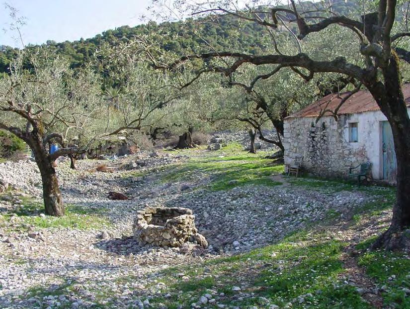 320 ΔΙΑΠΙΣΤΩΜΕΝΕΣ ΚΑΛΛΙΕΡΓΕΙΕΣ ΣΤΗΝ ΚΕΦΑΛΟΝΙΑ λόγω της συγκεκριμένης δραστηριότητας. Την ανάμνηση της καλλιέργειας και επεξεργασίας του φυτού διασώζουν και άλλα τοπωνύμια: π.χ.