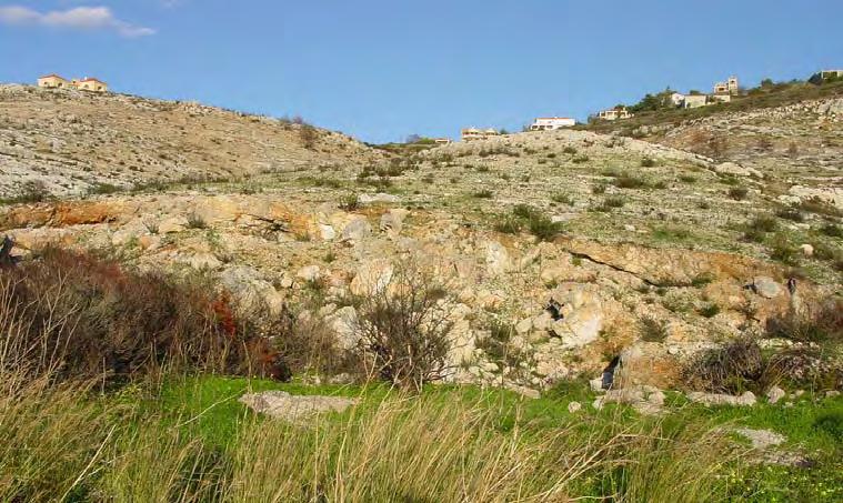 Ο άνθρωπος στην Κεφαλονιά την εποχή του λίθου 63 του Λατομείου στις Μηνιές (Εικ. 38, 39), όπου αφθονεί ο πυριτόλιθος (Εικ. 40). Η θέση αυτή για πρώτη φορά δημοσιεύεται στην παρούσα Διατριβή.
