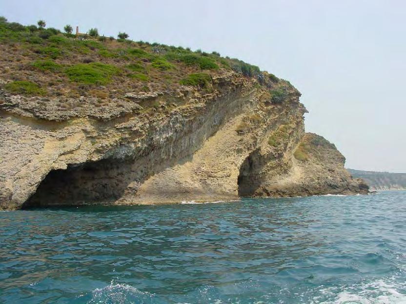 Ο άνθρωπος στην Κεφαλονιά την εποχή του λίθου 67 Εικ. 43.