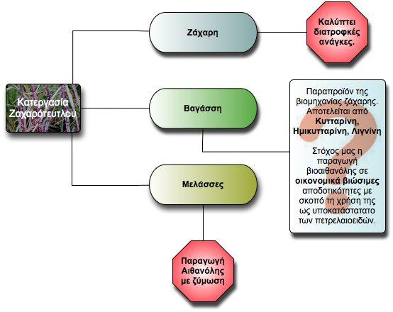 3 Επιλογή της Βαγάσσης [Bagasse] ως πρώτη ύλη.