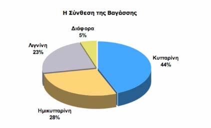 Λόγω των σχετικά µικρών περιεκτικοτήτων της σε λιγνίνη, και των αυξηµένων περιεκτικοτήτων σε υδρογονάνθρακες, η βαγάσση αποτελεί ιδανική πρώτη ύλη για την µελέτη µας.