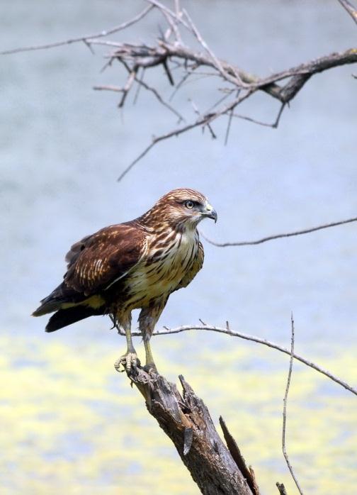 με τη φύση, γι αυτό και το σύνθημα της Οικογιορτής για φέτος είναι «Γνωρίστε τη φύση σε μέρα γιορτής». H Οικογιορτή διοργανώνεται το σαββατοκύριακο στις 22 και 23 Σεπτεμβρίου από τις 10 π.μ. ως τις 6 μ.