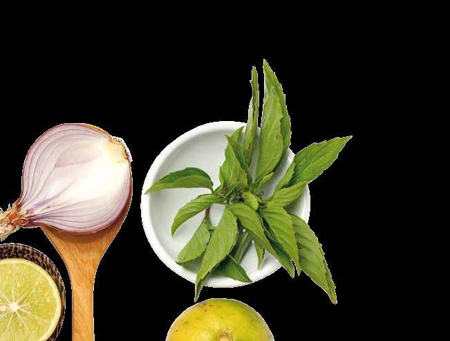 62 Psychology news 64 Eco news 86 BEAUTY SPRING Σπιτικές συνταγές ανανέωσης ANTI- AGEING Πώς θα καθυστερήσουμε τον χρόνο Η αγκαλιά που