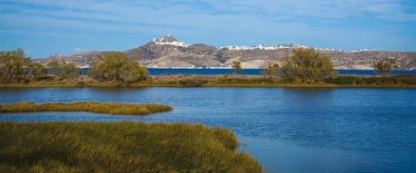 Lagada -