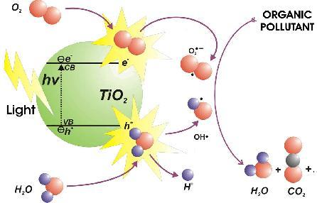 energy in the near UV region (radiation with λ 380 nm for anatase and λ 400 nm for rutile).