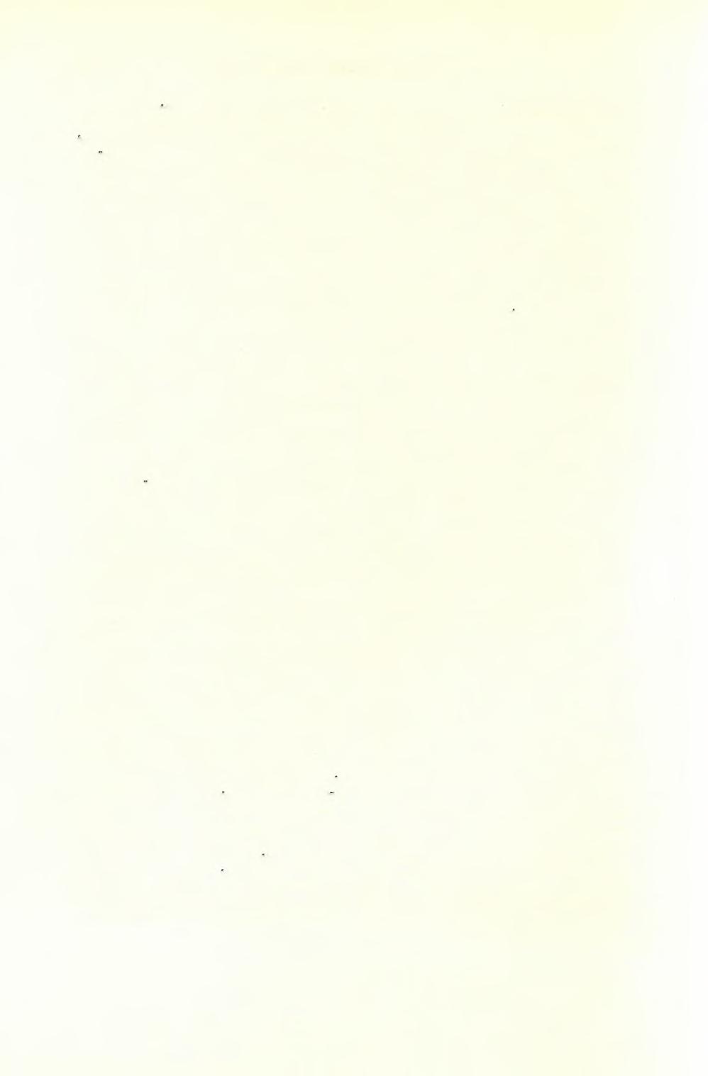 270 ΑΡΧΑΙΟΛΟΓΙΚΟΝ ΔΕΛΤΙΟΝ 19 (1964) : ΧΡΟΝΙΚΑ ροδοχεΐα, μία υδρία, είς άμφορεύς, κυάθιον τεθραυσμένον, λύχνος τοϋ όποιου έλλείπει ό άνω οριζόντιος δίσκος, τέσσαρα Βανδαλικά νομίσματα καί εν