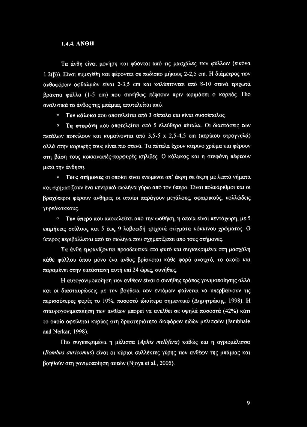 Πιο αναλυτικά το άνθος της μπάμιας αποτελείται από: α Τον κάλυκα που αποτελείται από 3 σέπαλα και είναι συσσέπαλος. Τη στεφάνη που αποτελείται από 5 ελεύθερα πέταλα.