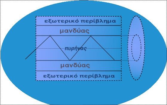 συστατικά των οπτικών δικτύων που χρησιμοποιούνται σε τεχνικές χαοτικής κρυπτογραφίας. Στις ενότητες που ακολουθούν θα γίνεται συχνή αναφορά σε αυτά. 2.1.