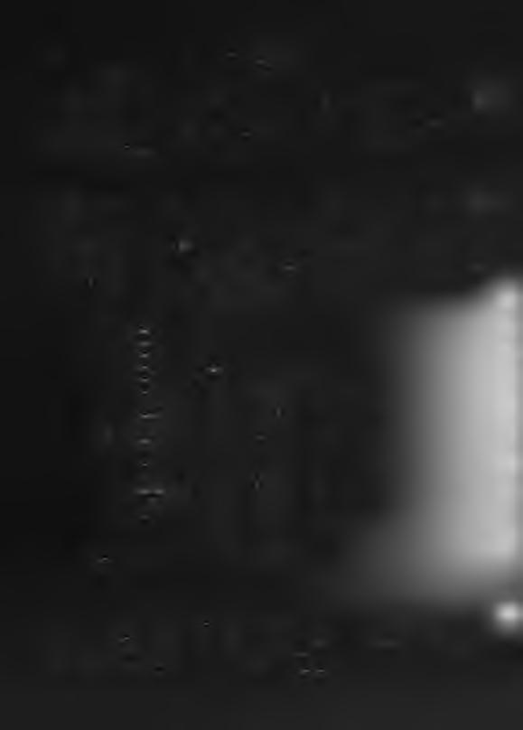 Νέα Ζίχνη Σερρών/1982 (Ν1337) (Ε ί κ. 8-9)34 Κασσάνδρου35 Εμ.: Κεφαλή αγένειου Ηρακλή με λεοντή προς δεξιά. Στο σημείο του αυτιού κυκλικό υστερόσημο με αδιάγνωστη παράσταση. Οπ.