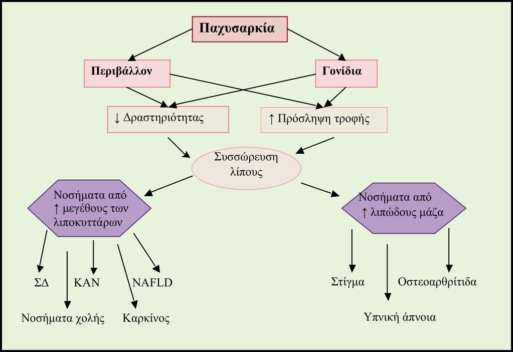 ΣΔ = Σακχαρώδης διαβήτης, ΚΑΝ = Καρδιαγγειακή νόσος, NAFLD = Μη αλκοολική λιπώδης νόσος του ήπατος, Στίγμα = Ρατσιστικές