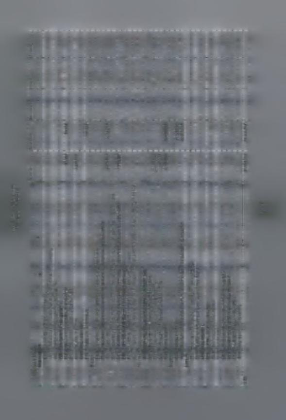 α 5 -Ο ω u_ : 03 3 C IS -5 33,35 3.431,58 4.168,75 7.186,75 20.198,89 186,37 5.376,00 40.581,69 1November 10,15 906,75 3.081,25 35.840,00 6.474,00 38.454,00 84.