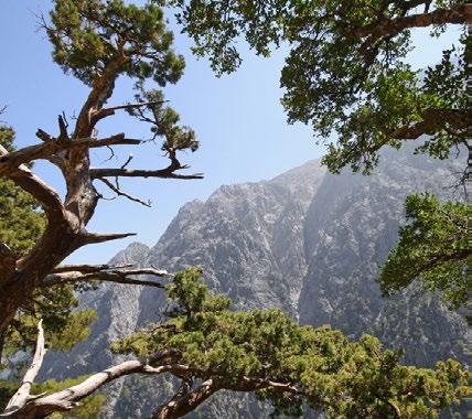 Κυριακή 24 και Δευτέρα 25 Σεπτεμβρίου 2017 Πλατανιάς, 20:00 Γνωρίζουμε τα προϊόντα και την παράδοση του τόπου μας / Βιωματικές Δράσεις / Κρητική Μουσική και Χοροί Κατά την διάρκεια των