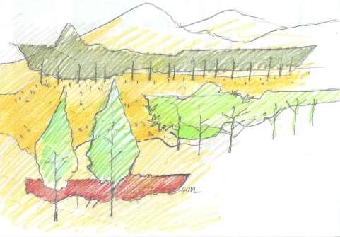 Εικ. 2: Φυσικότροπος σχεδιασμός σε αντιστοιχία προς τη ζωγραφική τοπιογραφική σύνθεση. Εικ. 3: Οι καμπυλόσχημες διαδρομές κίνησης στο αρχικό σχεδίασμα του Εθνικού Κήπου της Αθήνας.