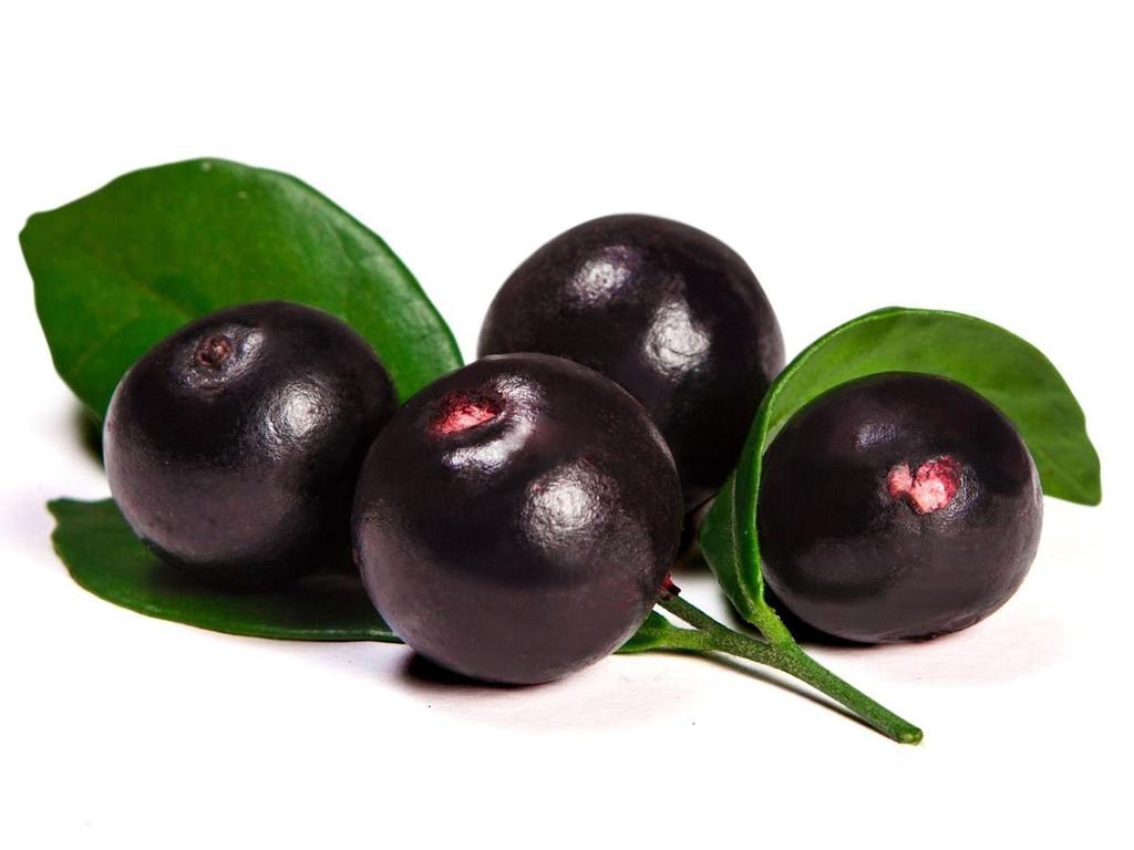 Acai Berry Το Acai Berry είναι ένα «υπέρ-φρούτο» με ευεργετικές ιδιότητες από τα δάση του Αμαζονίου.