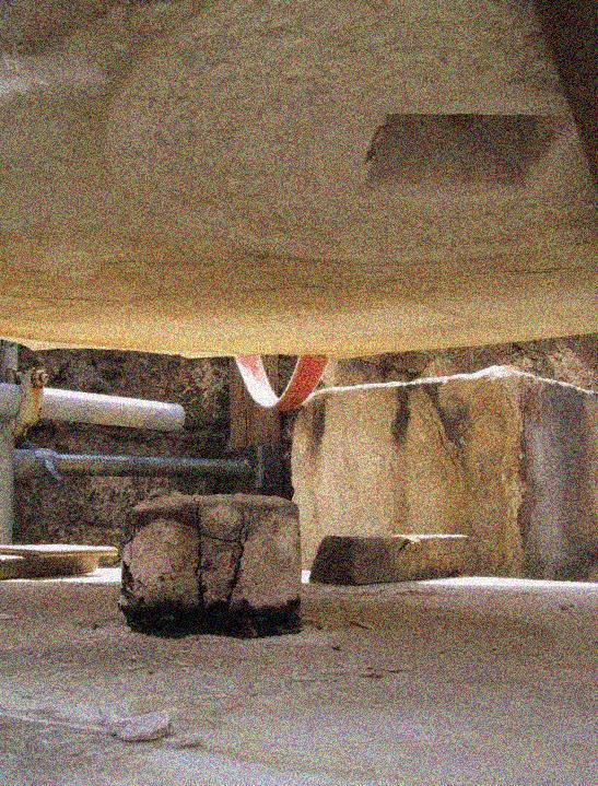 Η απροσδόκητη ανακάλυψη