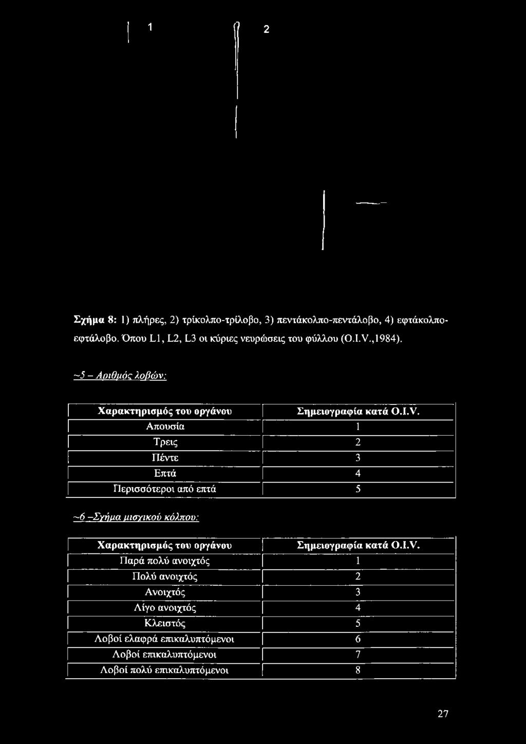 ~5 - Αοιθμόα λοβών: