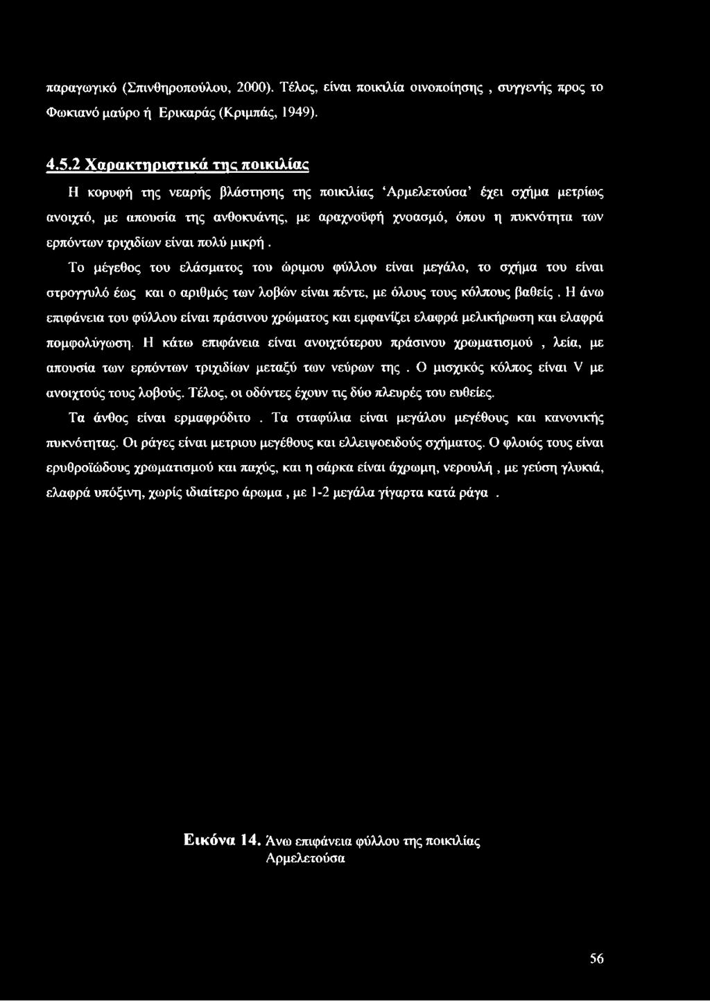 τριχιδίων είναι πολύ μικρή. Το μέγεθος του ελάσματος του ώριμου φύλλου είναι μεγάλο, το σχήμα του είναι στρογγυλό έως και ο αριθμός των λοβών είναι πέντε, με όλους τους κόλπους βαθείς.