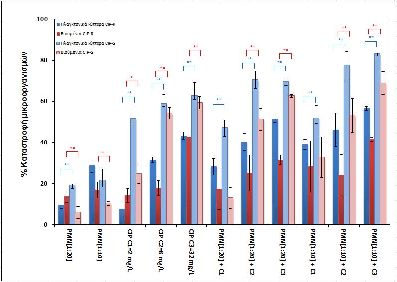 % Καταστροφή μικροοργανισμών P.aeruginosa - CIPs Σχήμα 9.6.10, Επίδραση σιπροφλοξασίνης (CIP) σε συνδυασμό με ανθρώπινα φαγοκύτταρα (PMNs) στα βιοϋμένια και στα πλανκτονικά κύτταρα του στελέχους P.