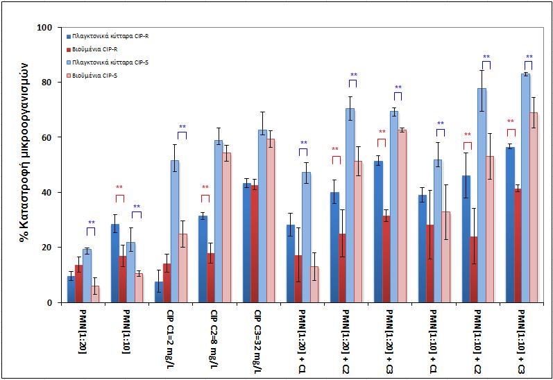 Σχήμα 9.3.13. Επίδραση σιπροφλοξασίνης (CIP) σε συνδυασμό με ανθρώπινα φαγοκύτταρα (PMNs) στα βιοϋμένια και στα πλανκτονικά κύτταρα των στελεχών P.