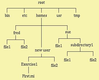 αντιστοιχεί σε κάθε χρήστη Είναι πιο βολικό για το σύστημα να αναπαριστά εσωτερικά τους χρήστες με αριθμούς, παρά με usernames Χαρακτηριστικά του Λογαριασμού Αριθμός ομάδας (groupid) To Unix χωρίζει