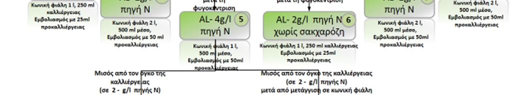 Σχήμα 4.1.