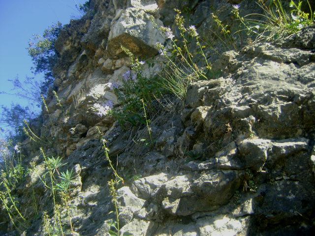 συγγραφέα).